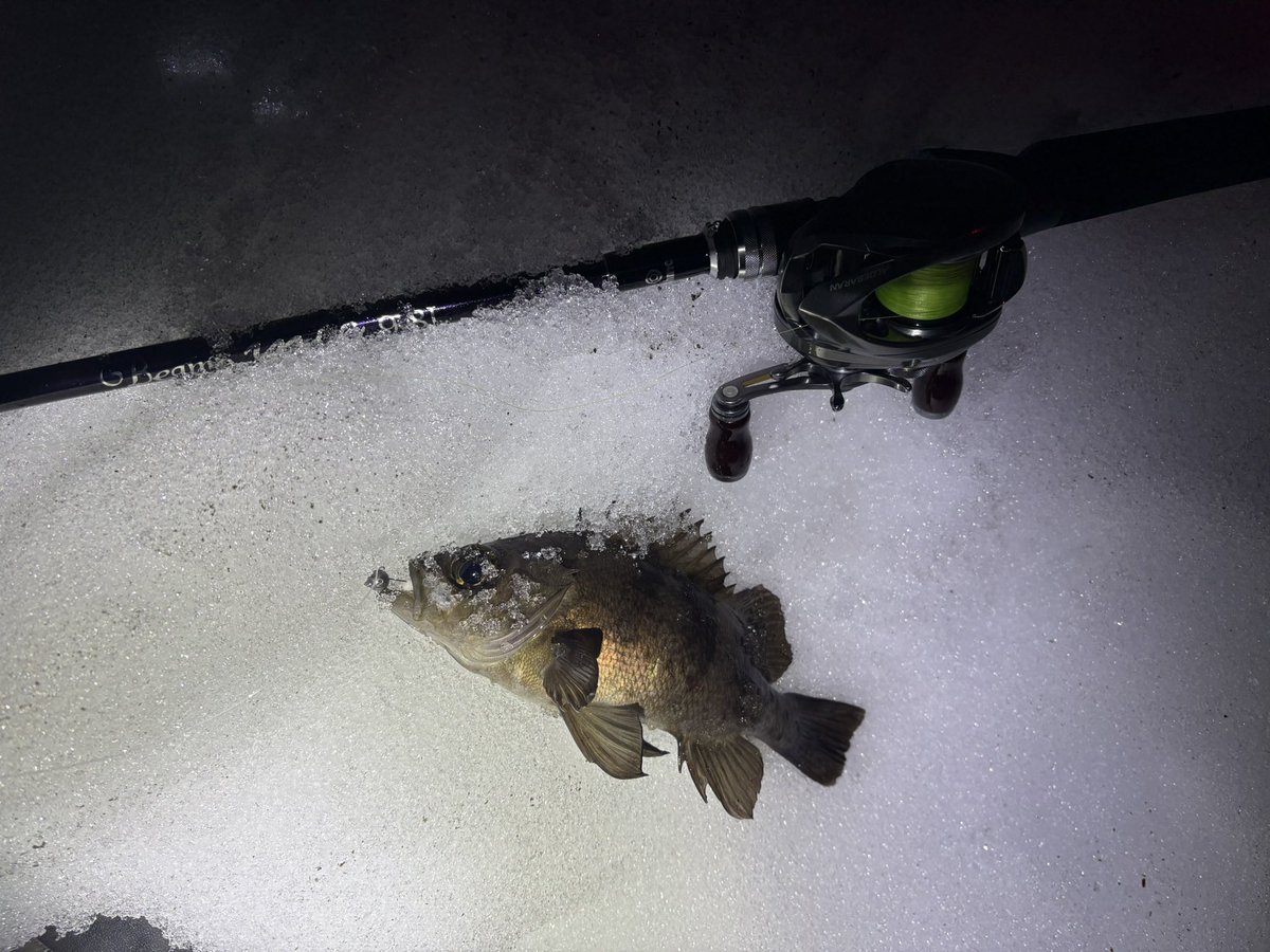 PUUuu〜m (@rikimaru5281) / Posts / X