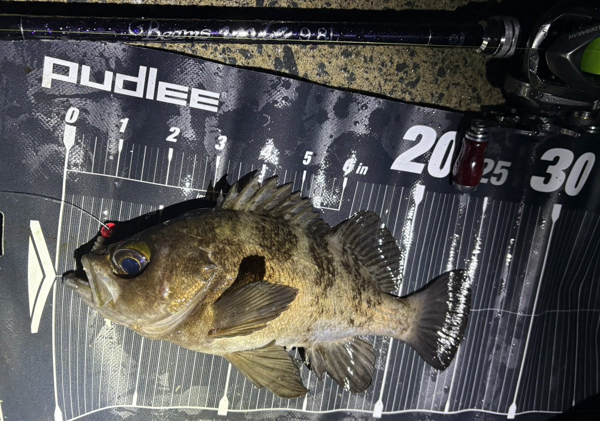 PUUuu〜m (@rikimaru5281) / Posts / X