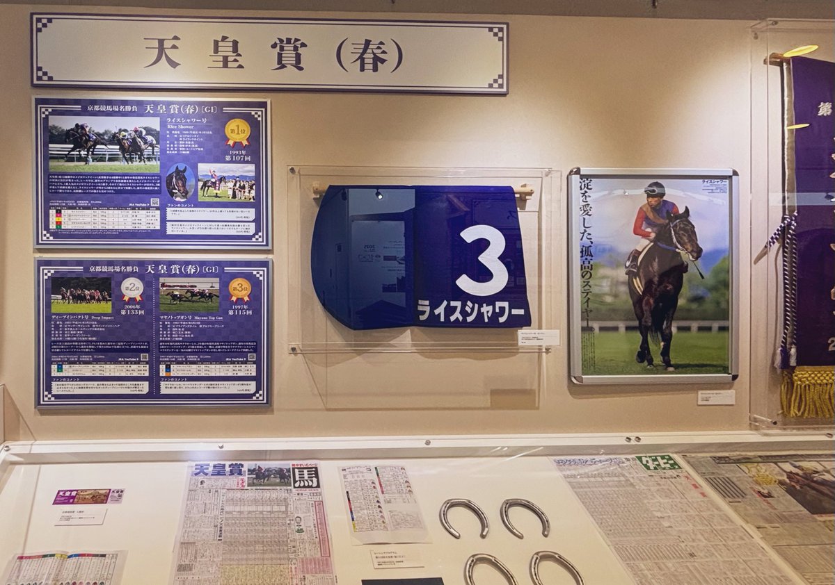 ずっと気になってた東京競馬場行ってきました〜〜〜〜！賭けはせず