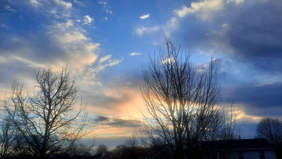 Rodney Wilson tweet media