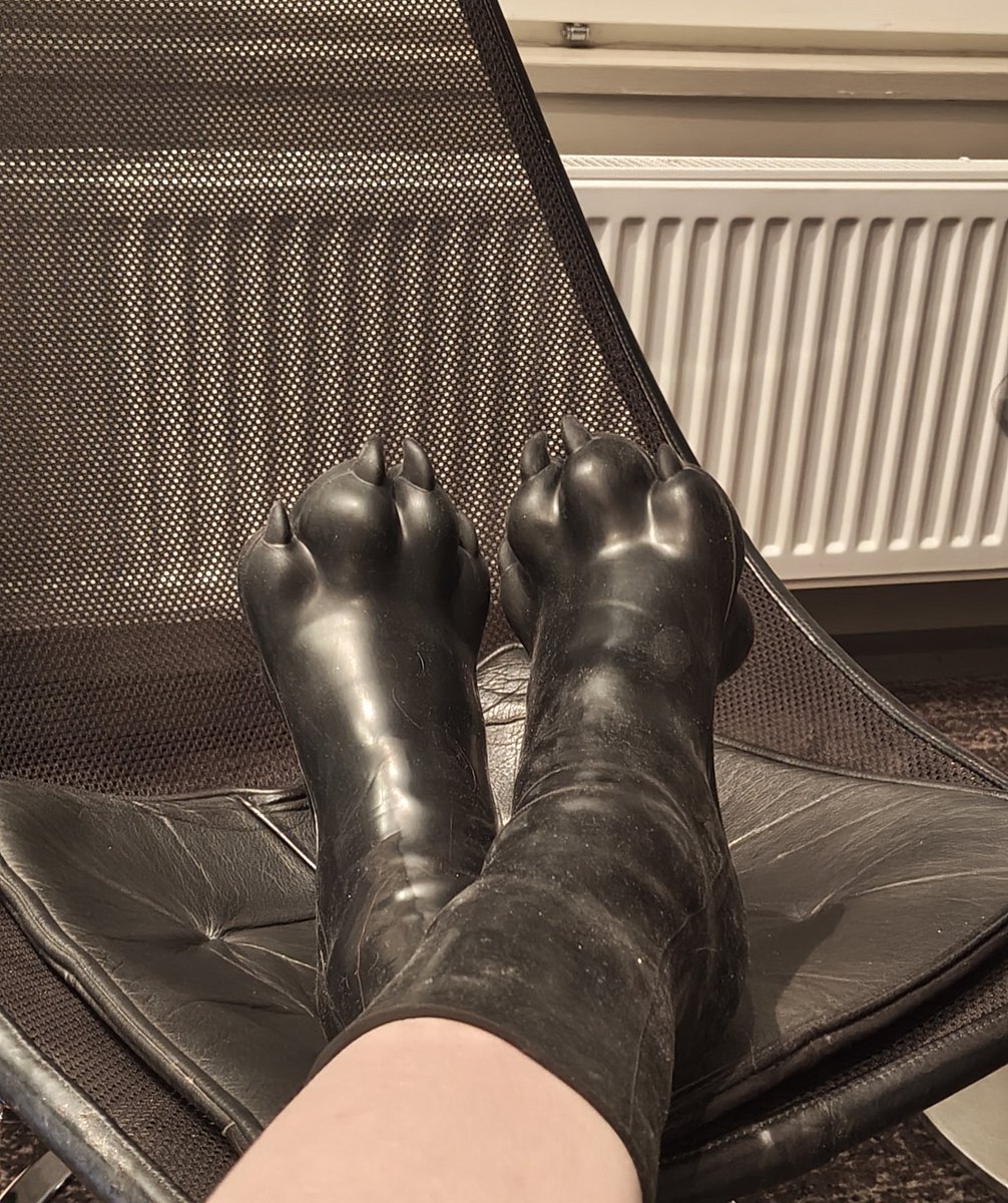 You ok honey, you've barely touched your paws?

#NfC2026