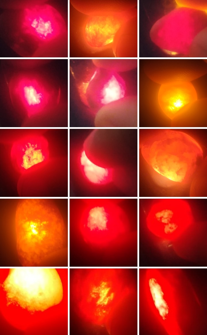 The Coffee Drinker tweet media