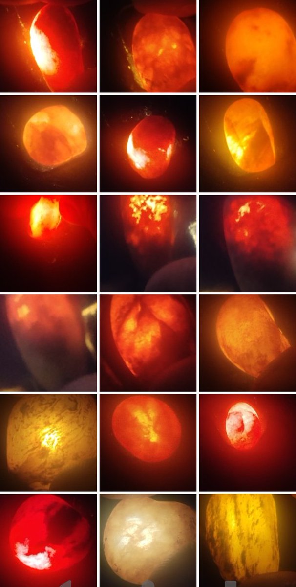 The Coffee Drinker tweet media