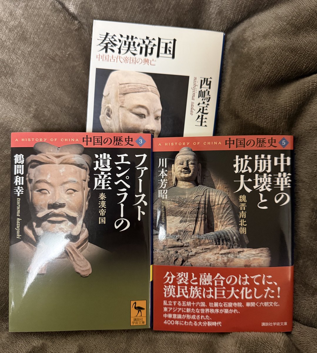 講談社学術文庫の「三国志の世界」がえらい面白いので、同じ中国の歴史