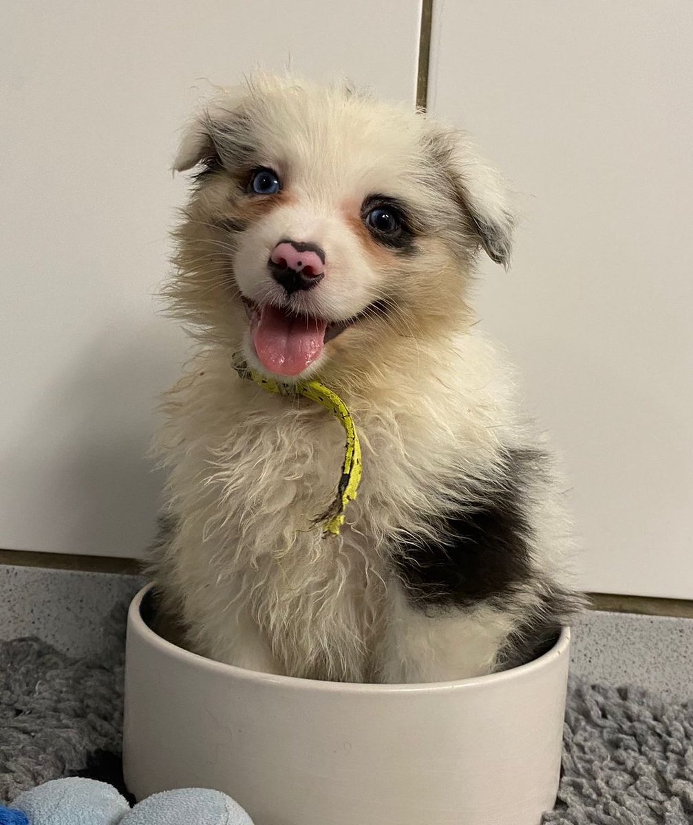 Mila 👩🚀 tweet media