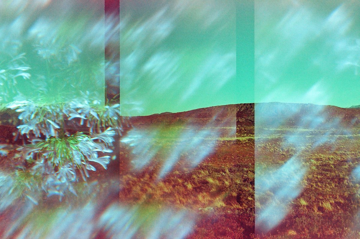 Gabriel Nebular tweet media