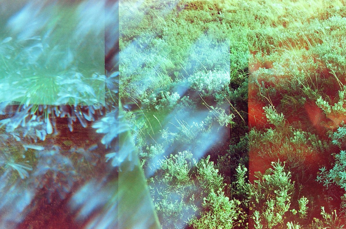 Gabriel Nebular tweet media