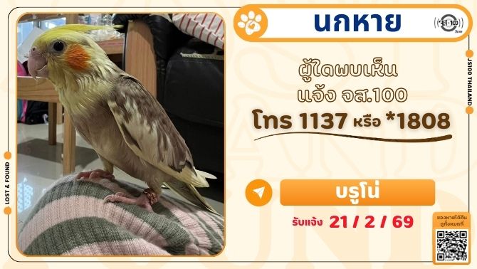 นกหายจากบ้านซ.เทอดไท 96 เขตบางแค ผู้ใดพบเห็นแจ้ง JS100 โทร *1808 หรือ 1137

รายละเอียดเพิ่มเติม : js100.com/en/site/lost_f…

#นกหาย #ตามหานกหาย #JS100
