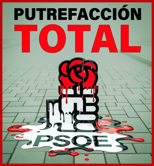PEPE, en Español (@pepeluspain) on Twitter photo 