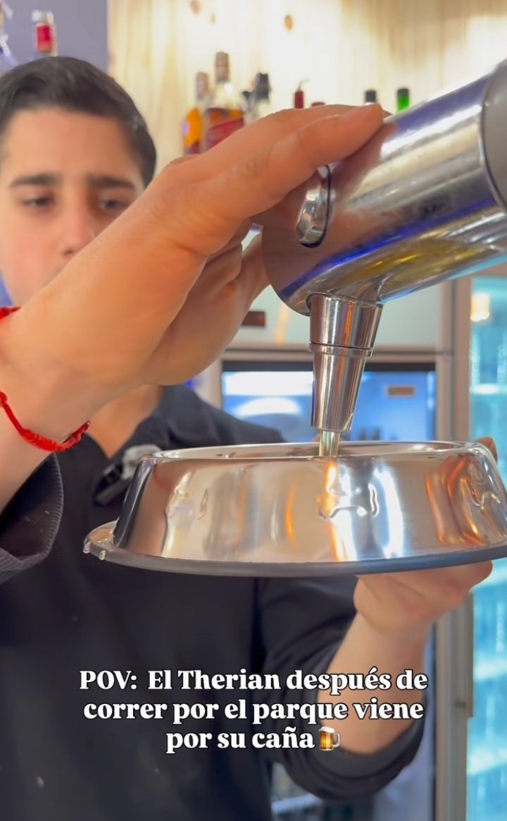 Algun therian por ahí?