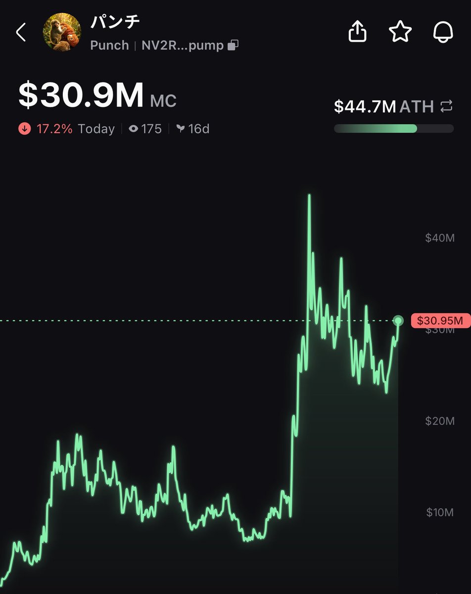 HopiumPapi's tweet photo. $Punch new ATH is coming very soon https://t.co/YLDhwz8SsD
