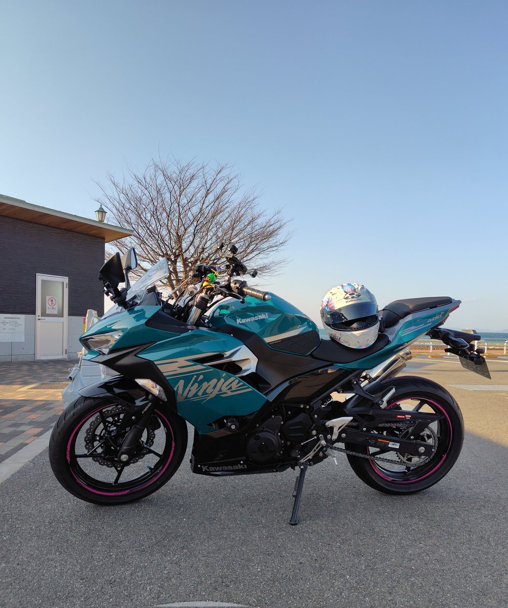 改めて自己紹介🏍️ 名前:ハイジ 性別:メス 年齢:30代 身長:165 住み