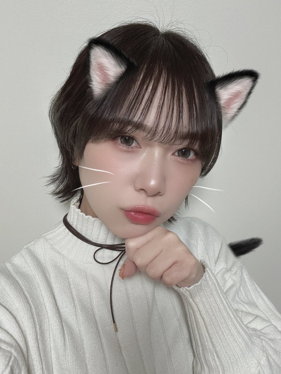 pachibibi65's tweet image. 【告知- ̗̀📢】
明日 2/22は #P2  さまにて実戦です‼️

前回の敗北を糧に！リベンジ戦！！！
そして猫の日ー！ฅ^•ω•^ฅ
なので明日はビビにも猫耳が生えるかも？！🐱

⏱実戦時間10:00～16:00まで
(休憩時間12:30～13:30頃予定)

2戦目しっかり勝って青森に出発できるように頑張ります！❤️‍🔥