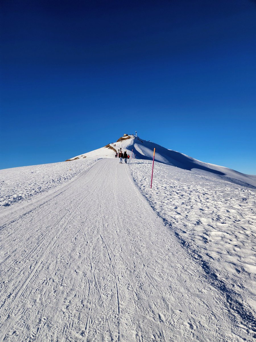 HikingSwitzerland tweet media