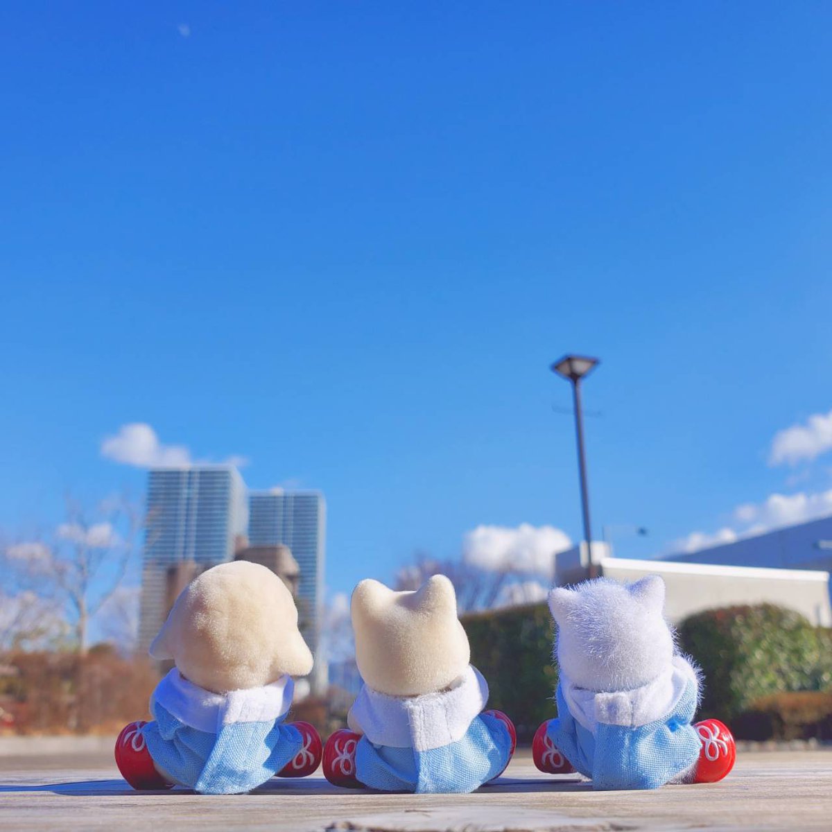 face_tmn's tweet photo. 今年は写真撮影に力を入れられる年にしたいです！
#シルバニアファミリー https://t.co/3HomfNkXVu