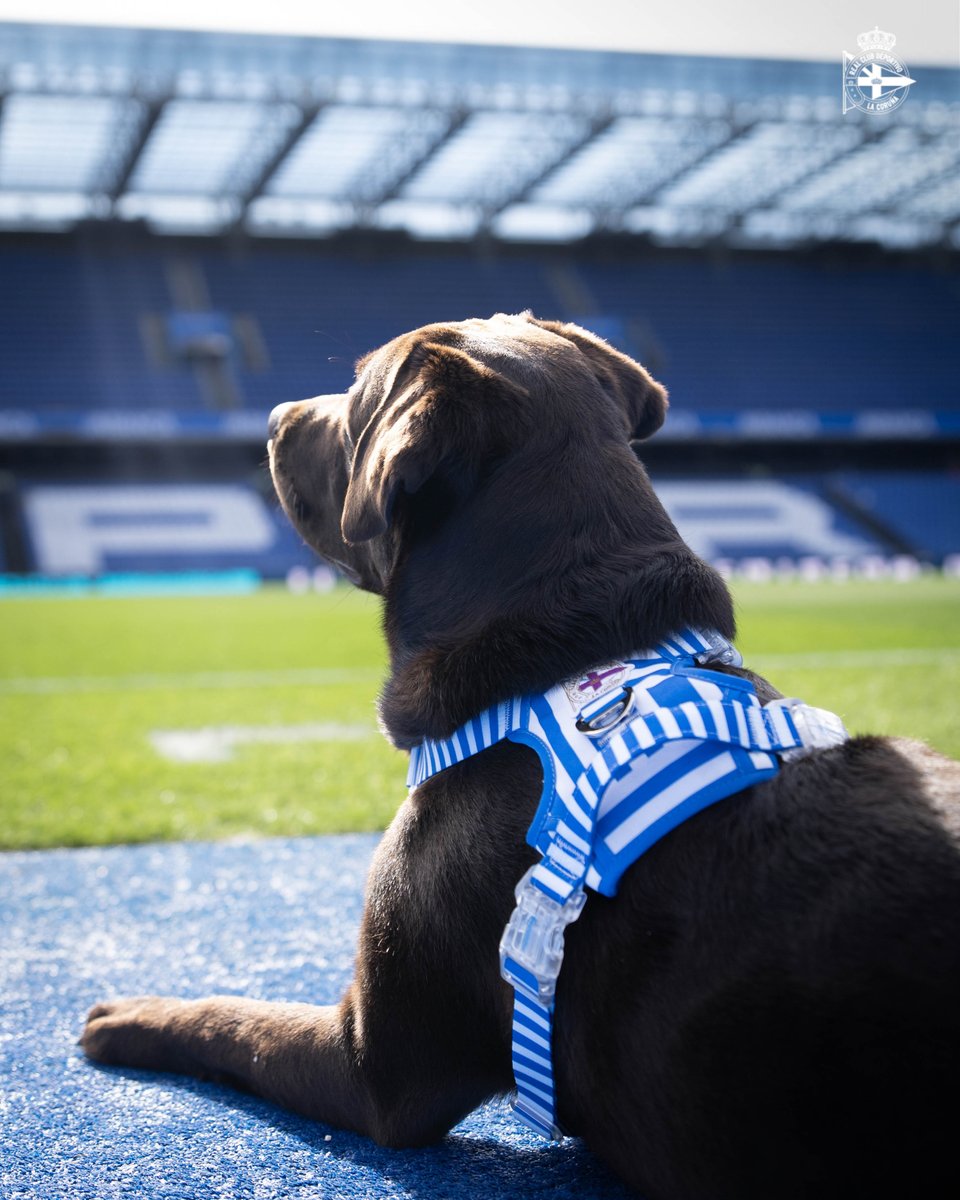 RC Deportivo tweet media