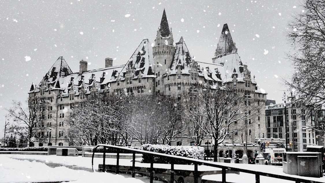 Ian Black tweet media