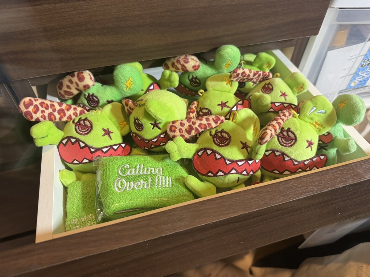 リトグリ_全力REALLIVE 前に グッズ整理しようと思って 久々に💚クレオ