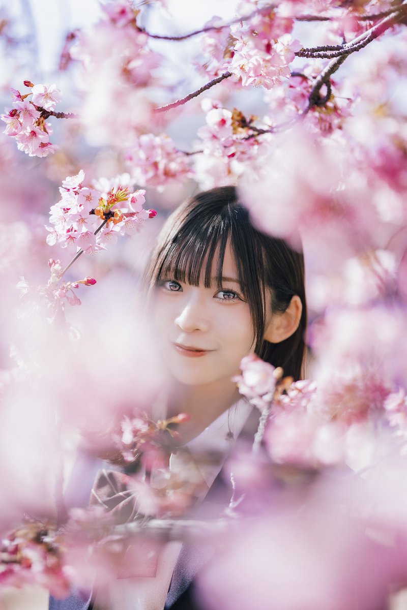 Kawazu cherry blossoms 🌸

📷 model：春宮ほのか <a href="/honoka___HAL/">春宮ほのか</a> 

#SonyAlpha #portraitphotography #桜