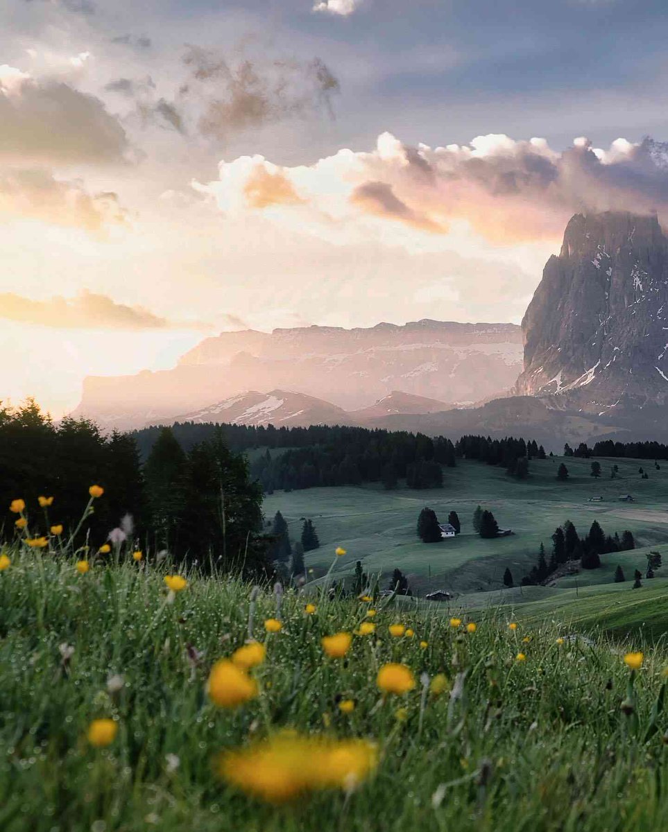 GavinStone51077's tweet image. YO LOOK, just dropped $500 on $SHIB and it skyrocketed 15% overnight!!! 🌕💰 Actually up big for once, now sitting at $0.000012! Somebody pinch me! 🥳