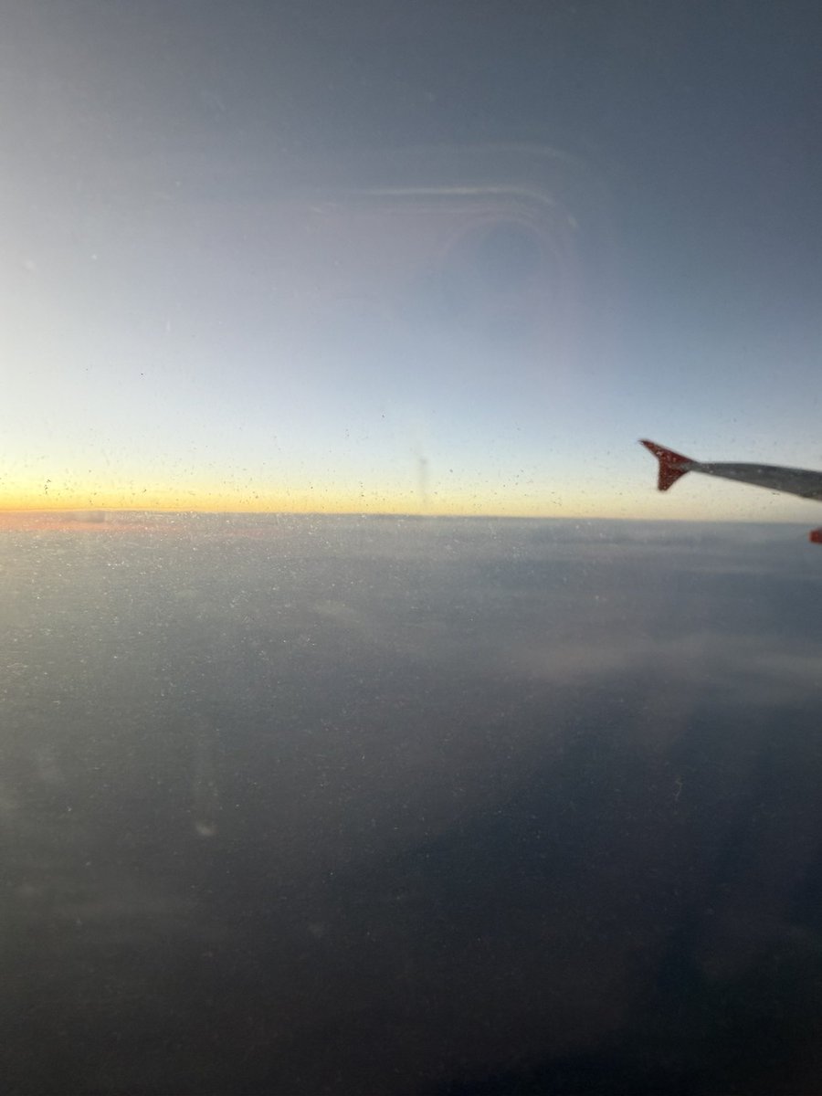 もらん@低浮上 tweet media