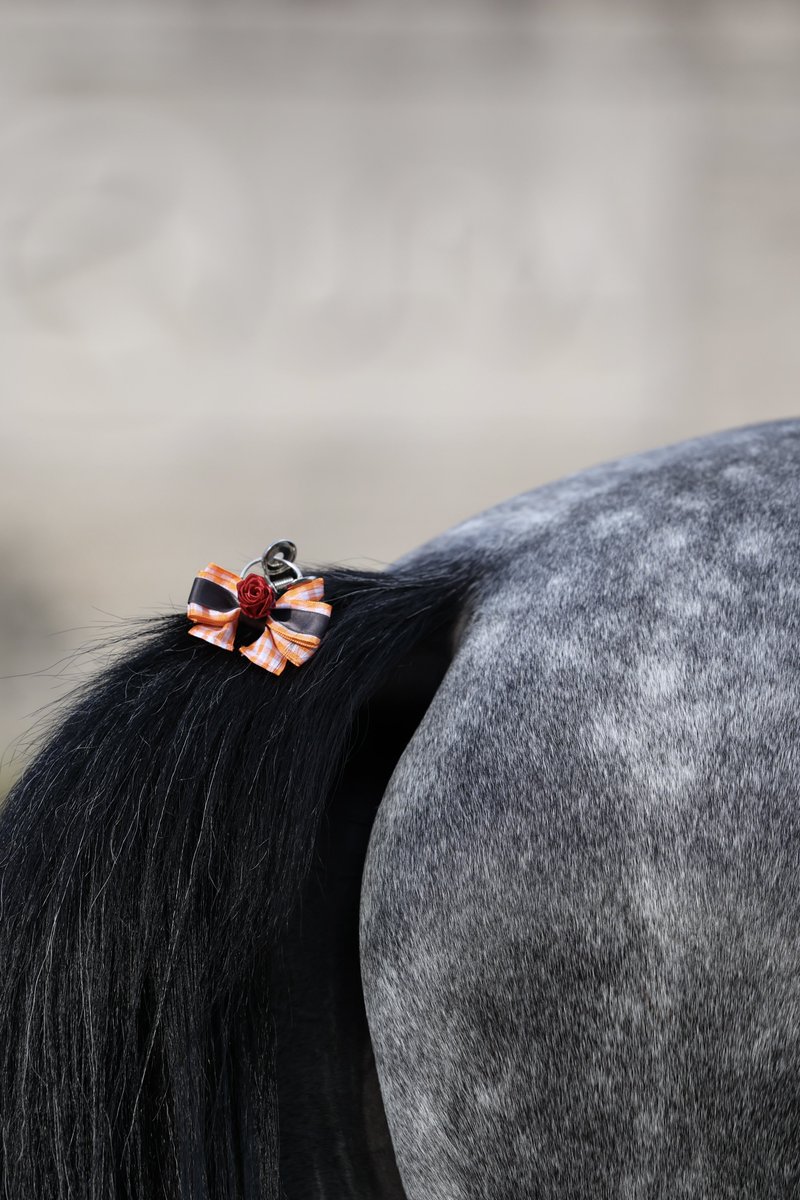 トム子 tweet media