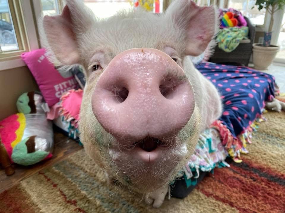 Good morning, beautiful. #estherforever #smile #morning