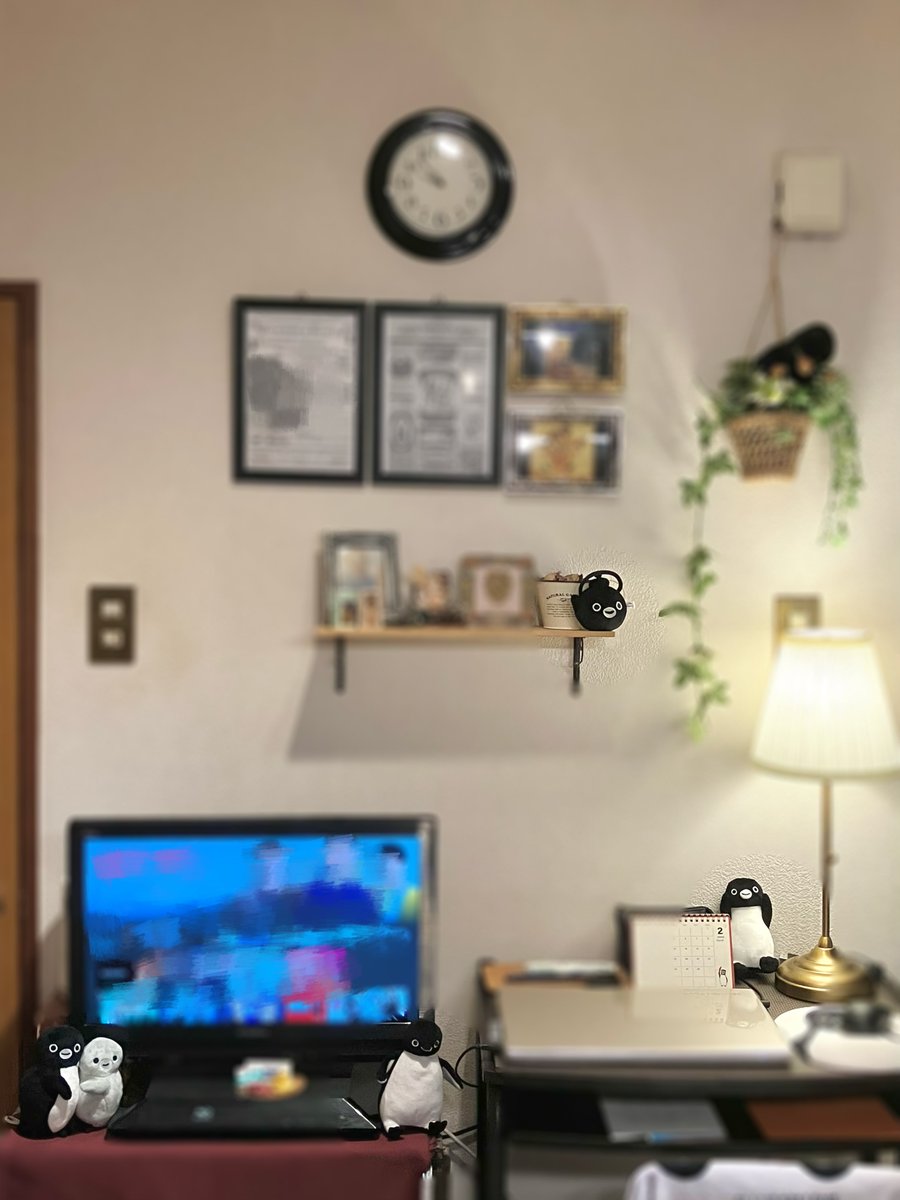 棚がもういっぱいだから何羽か放し飼い（？？？）にしてみたらこれはこれで可愛い～～～🥳🥳🥳