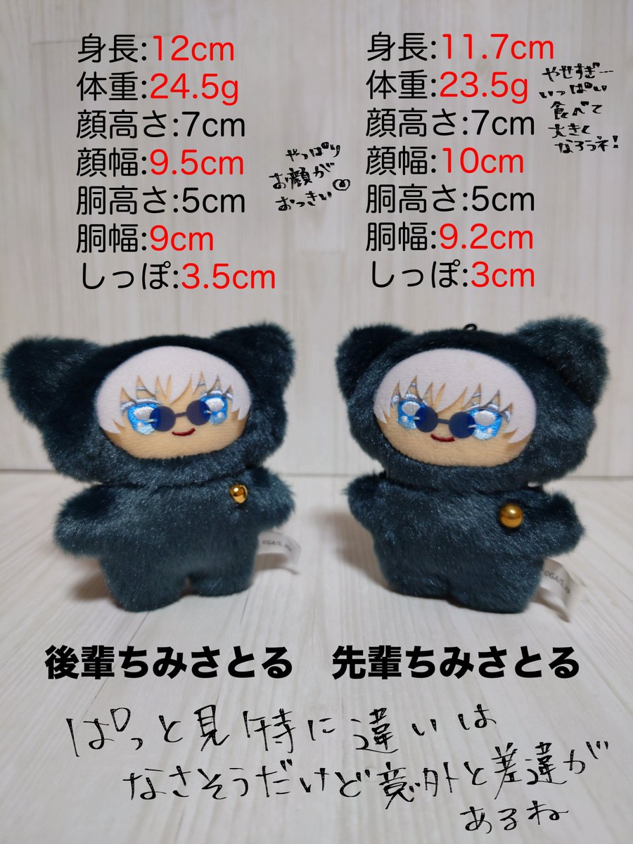 身体検査結果です🐒