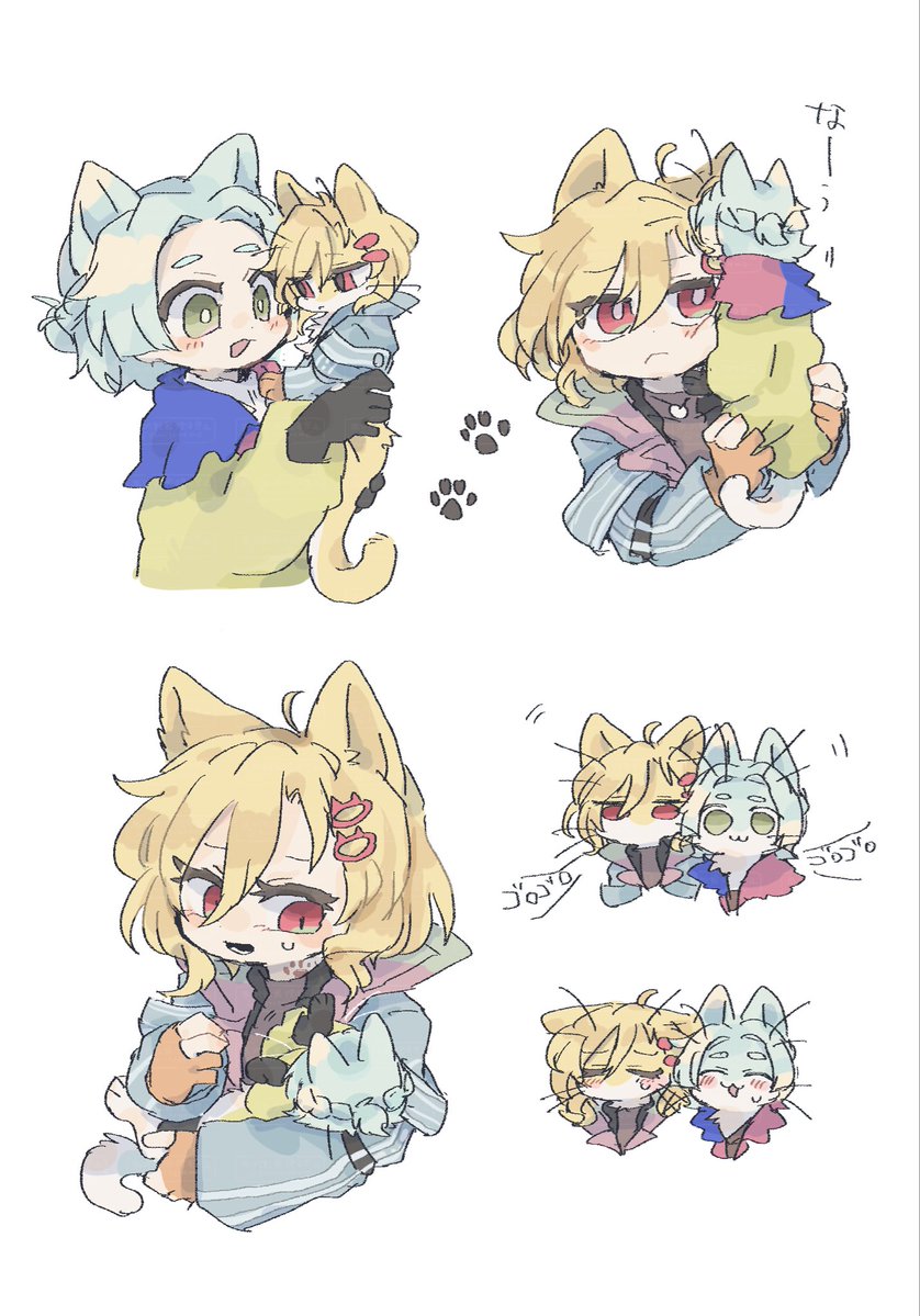 Post by 🐩 on X: ﾈｺﾁｬﾝ