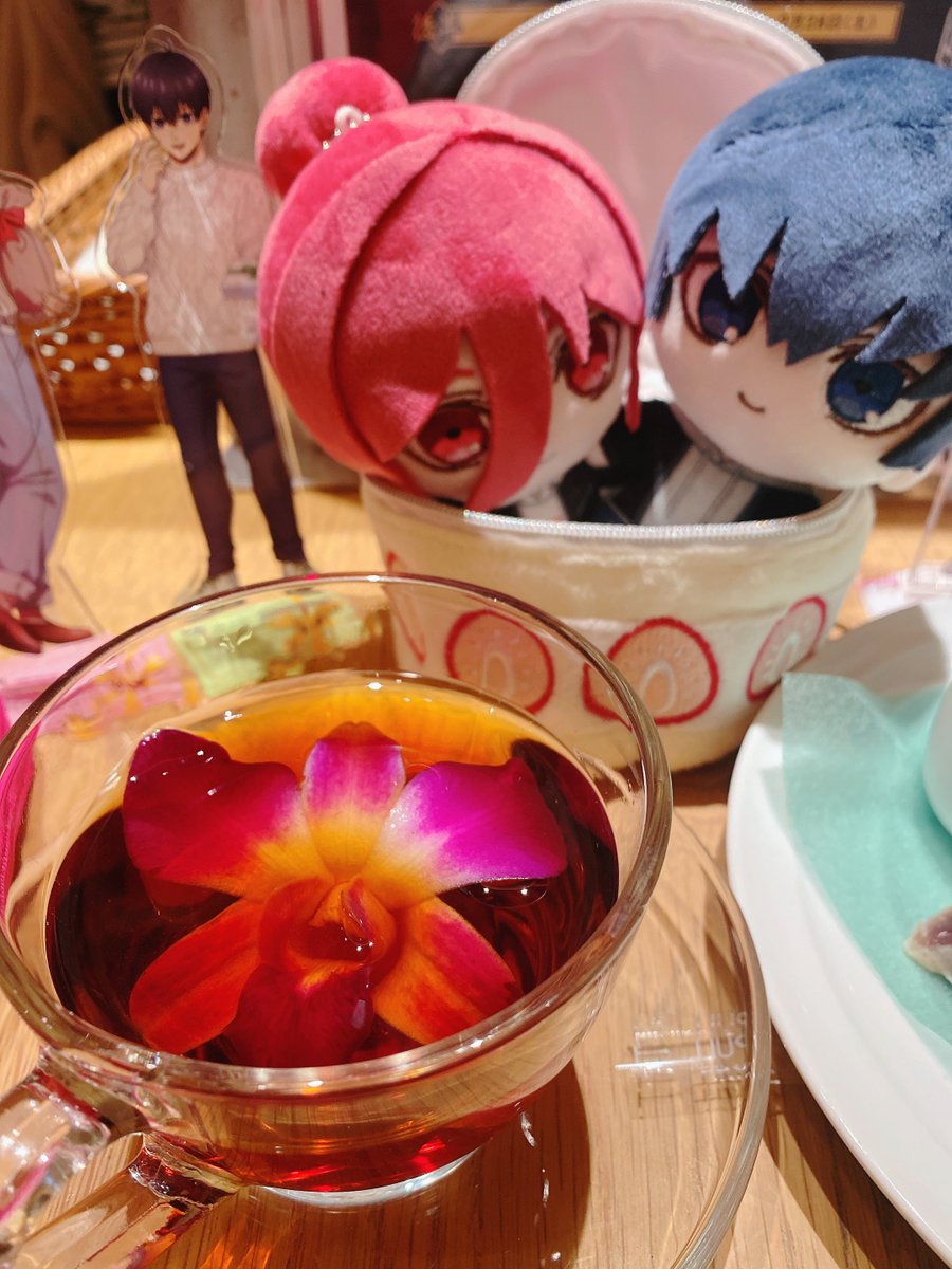 emmacgis's tweet photo. 今日は先輩とお出かけ&amp;カフェに行ってきた🙌
最高に充実した一日でした🫶💕

カトレアは裏返しになってて、「まあいいか」と思ったけど、ちょっと触れば直ったので最初にやっとけばよかった笑 https://t.co/IPnmku5lcr