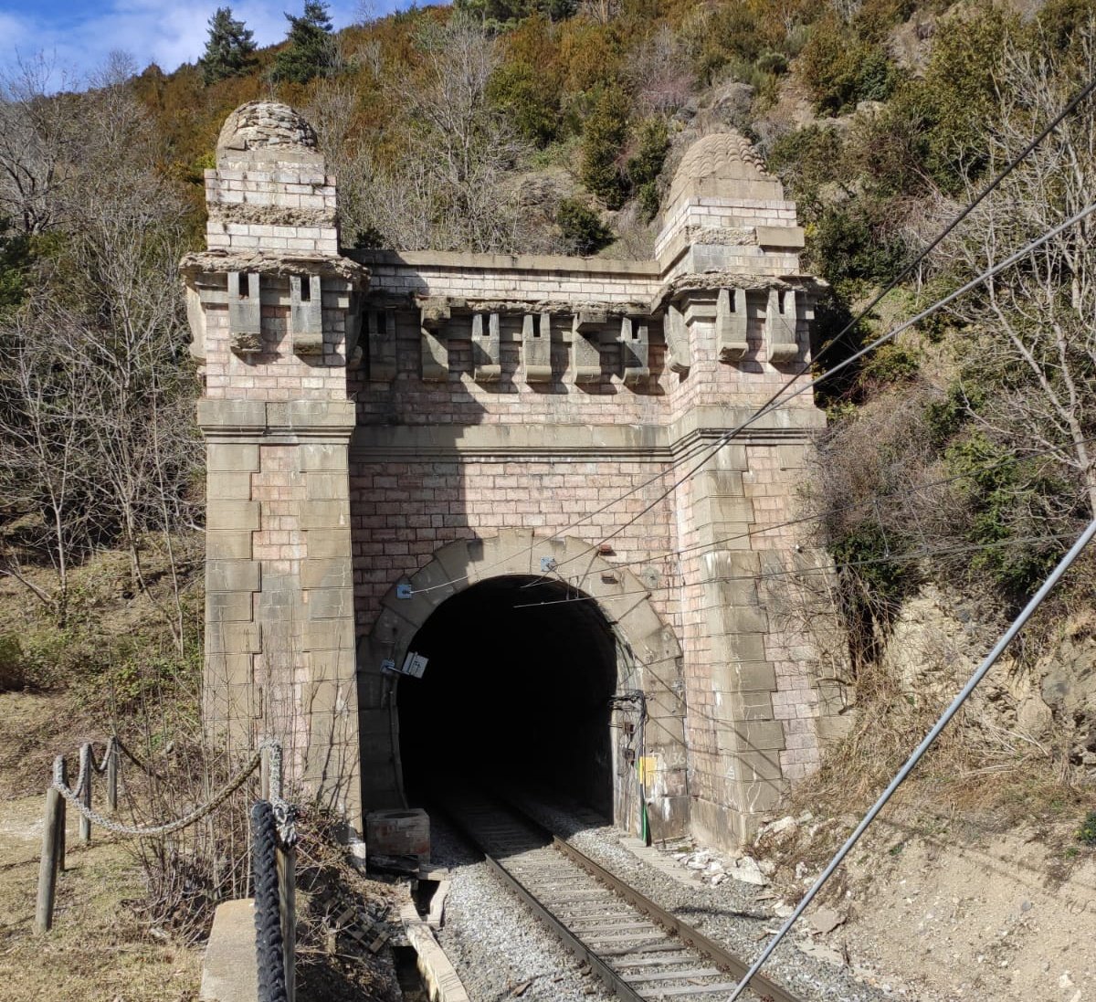 Pqnoensfotintren tweet media