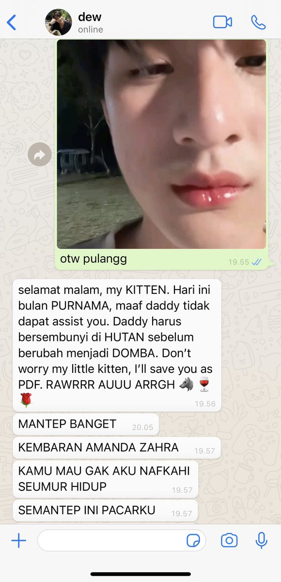 gemini nasi bakar tweet media