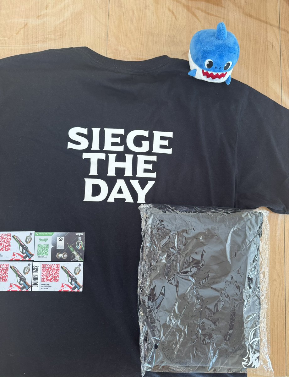 Hello everyone, today I'm giving you the chance to win several things 🎁

- 3 SI26 Default codes
- 1 SI26 Green code (GamePass Edition)

To Enter: 

- Follow <a href="/R6SharKK_/">bbySharKK</a> on X ✅
- Follow my insta joanb_84 (link below the tweet) ✅
- RT this Tweet 🔁

Draw on March 5th!