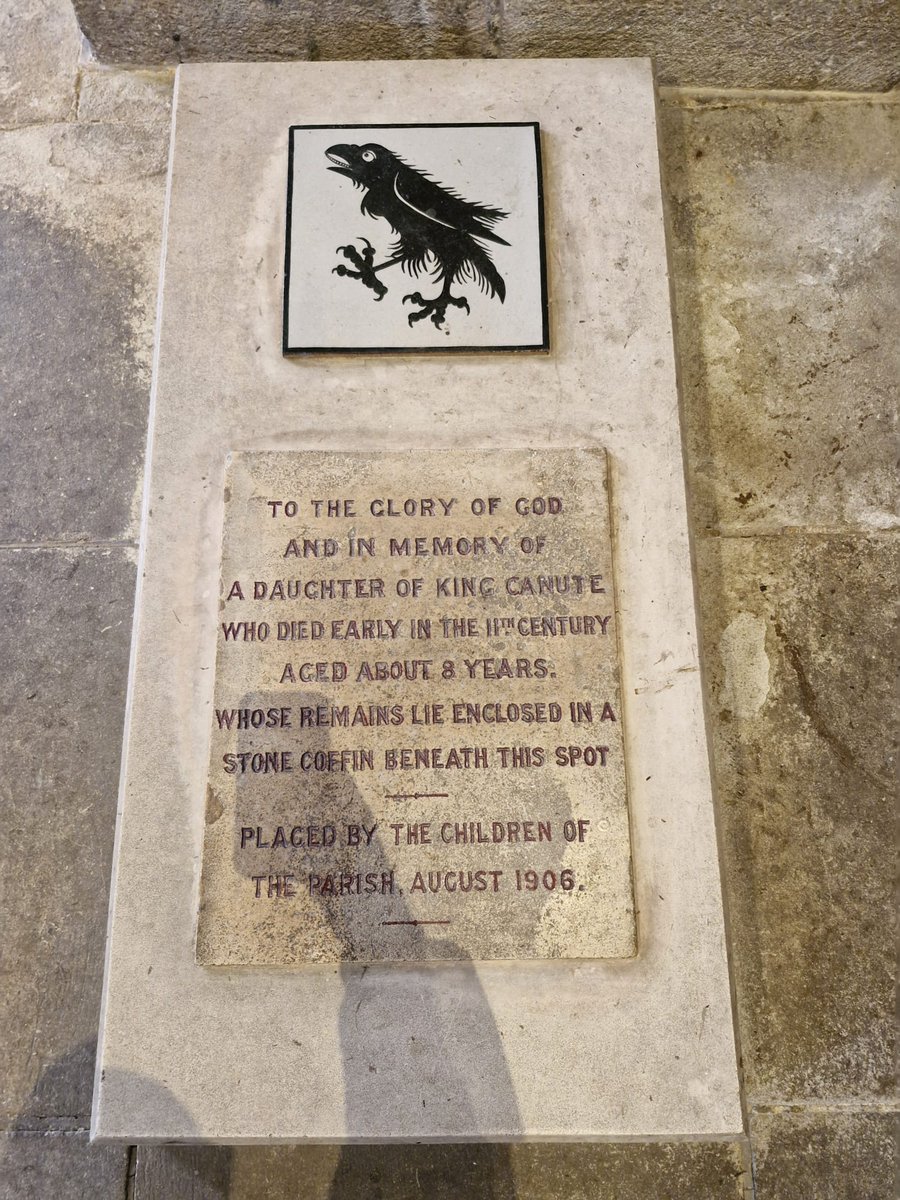 ChichesterYAC tweet media