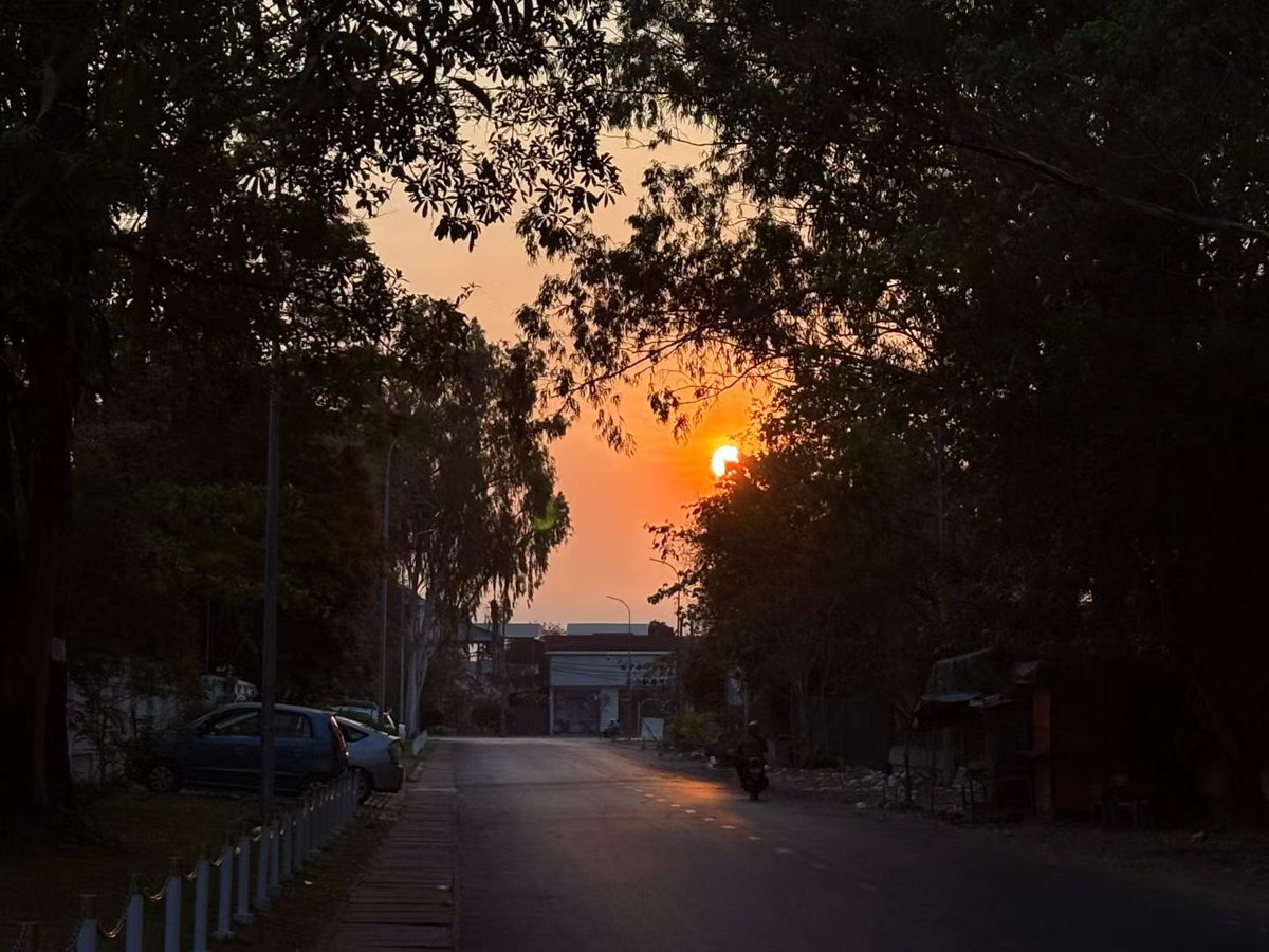 杨文理 tweet media