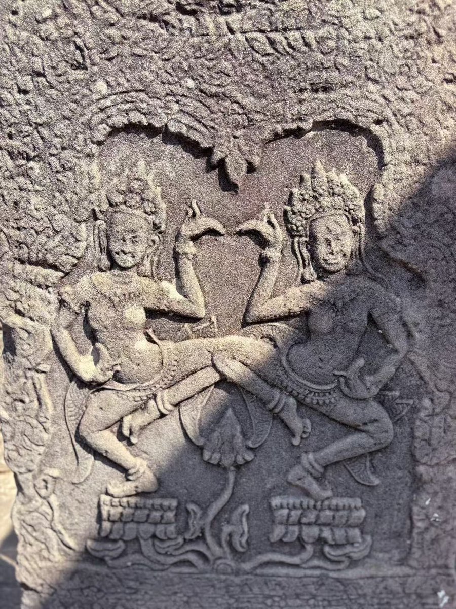 杨文理 tweet media