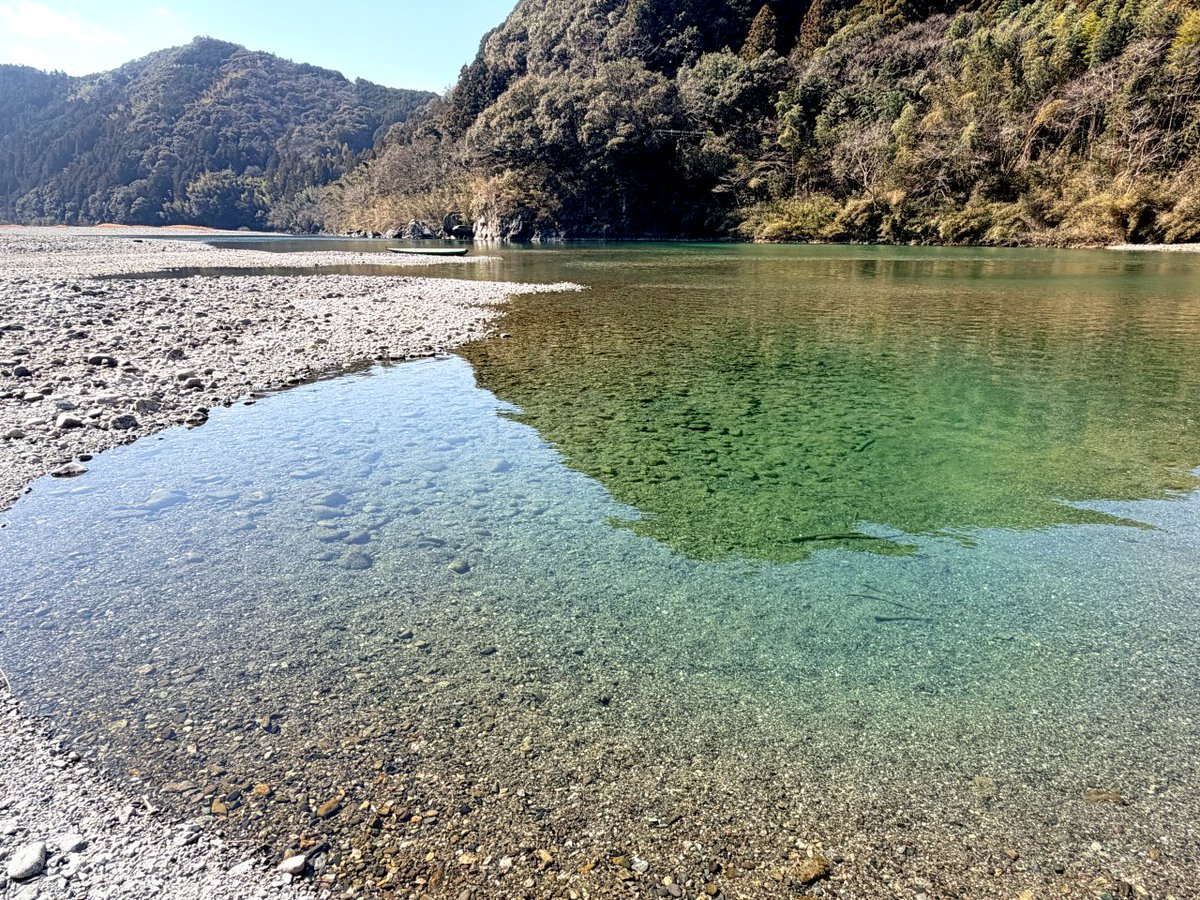 ことこ tweet media