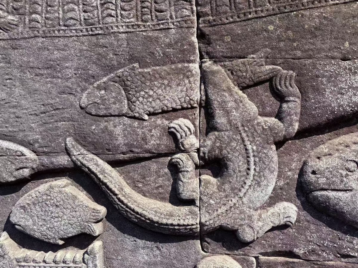 杨文理 tweet media