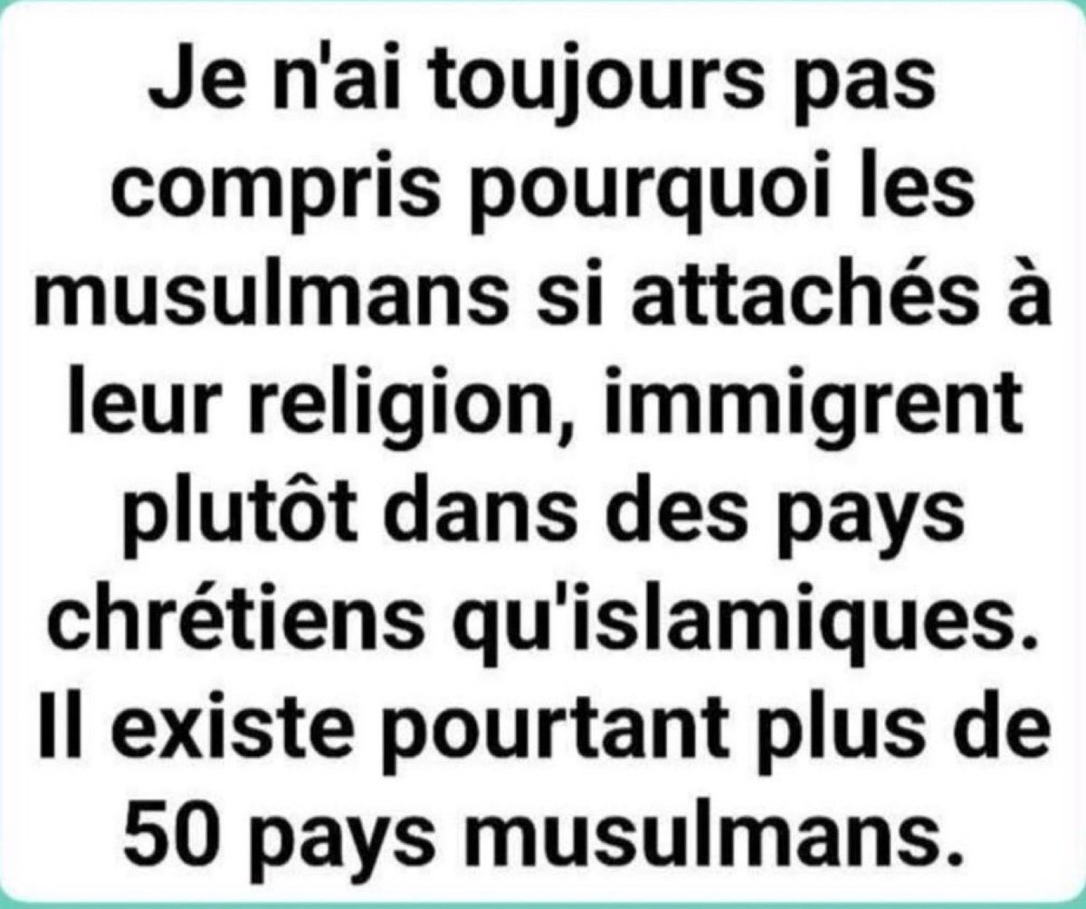 🏴☠️l’Écureuil a grande bouche Pirate™️©️💎 tweet media