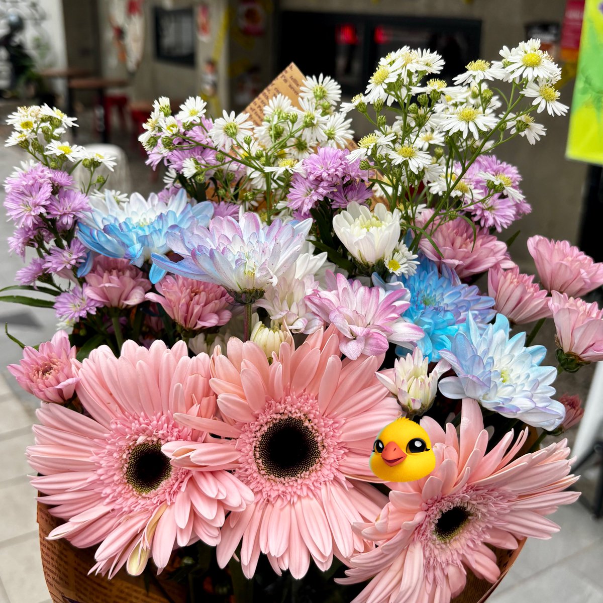 𑣲 GWYN ♬⋆.ᐟ tweet media