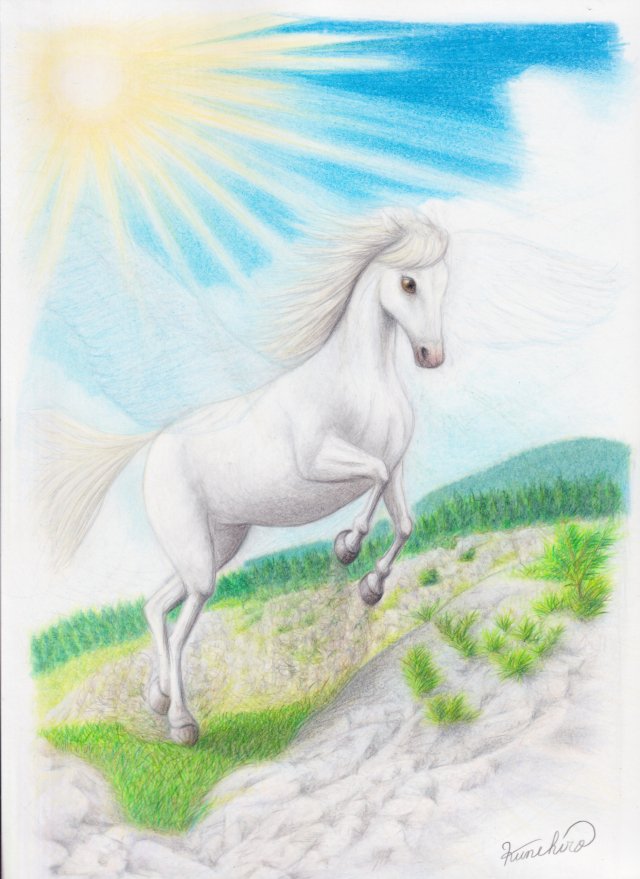 老舗の喫茶店にて展示販売させて頂いてます。 天馬のごとく 色鉛筆 A4