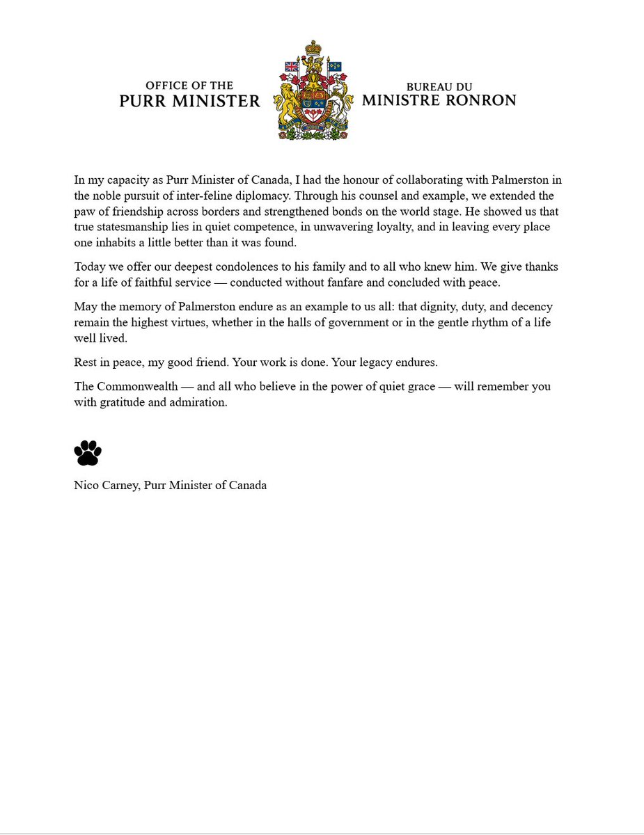 🇨🇦 Nico Carney, Purr Minister of Canada tweet media