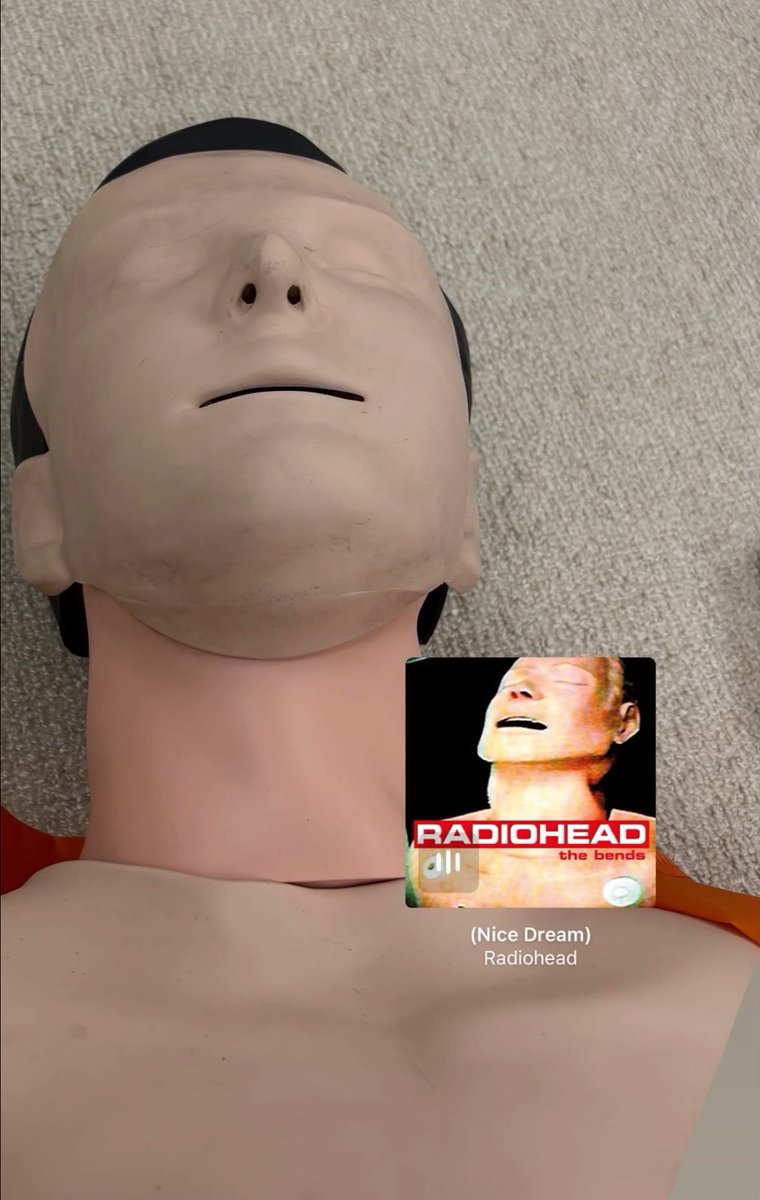 Post by ［はむさんどろす。］ on X: 🤣🤣🤣