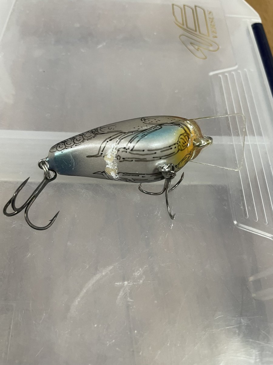 plotz_lure 2月チャレンジ26開催中です🎣 (@plotz_lure) / Posts / X