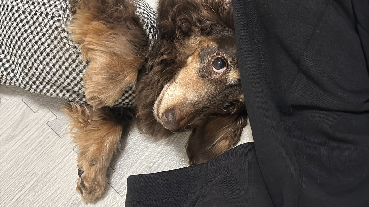 L_qqmi's tweet photo. 白目には栄養があるんだ https://t.co/GJEdrdj4mO