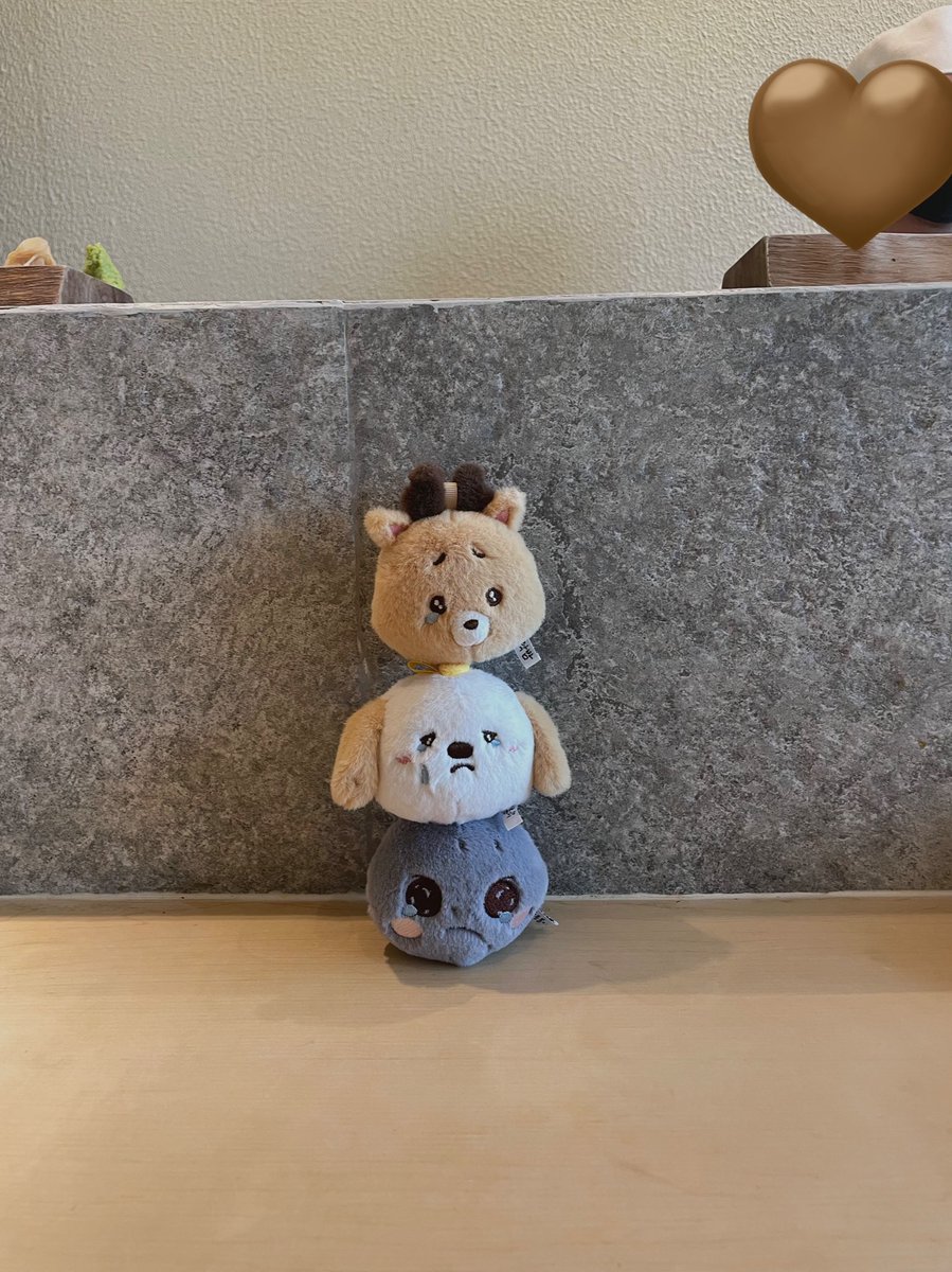 bbabyloved's tweet photo. 구름즈 🤎🩶🤍 https://t.co/71zGHxPEOp