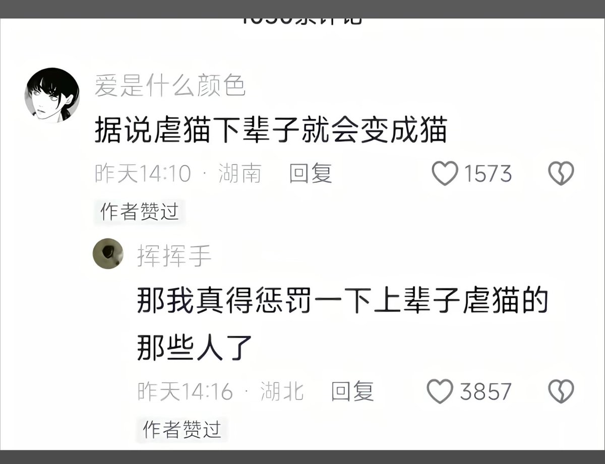 清洛😺 tweet media