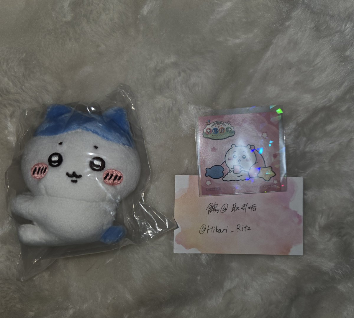 鸙@取引垢 初回ツイフィ🙇‍♀️ tweet media