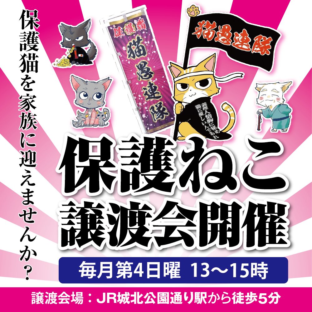 2月22日は大阪市旭区赤川にて猫譲渡会ですよー✨ ノルウェージャンから